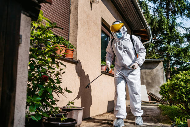 Best Emergency Pest Control  in Mendota, CA
