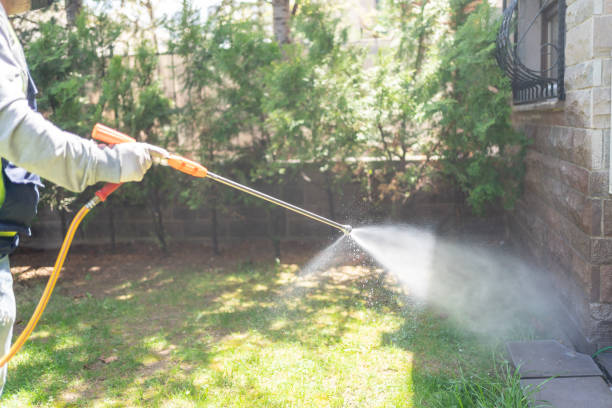 Best Best Pest Control Near Me  in Mendota, CA