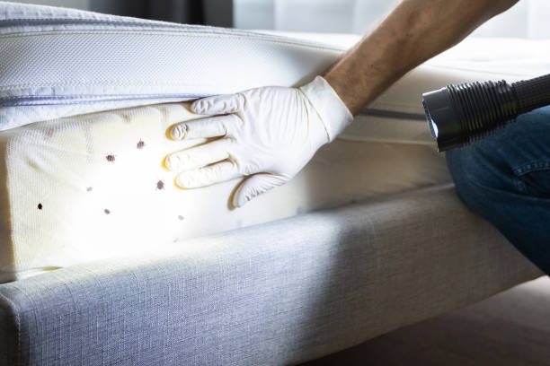 Best Insect Control  in Mendota, CA
