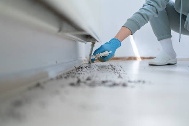 Reliable Mendota, CA Pest Control Solutions