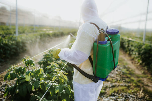 Best Pest Prevention Services  in Mendota, CA
